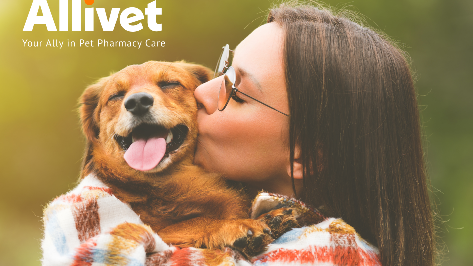 9 things to consider before bringing a pet home for the holidays